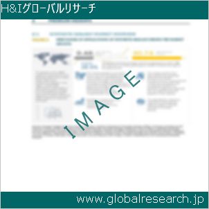 グローバルリサーチ調査レポートのイメージ